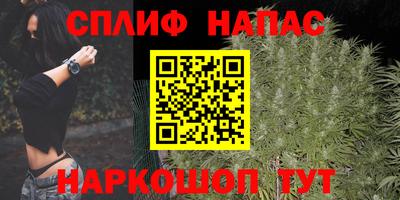 a pvp Аргун